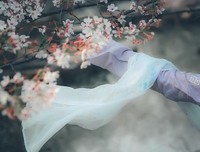 我枕星河入你梦