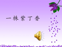 一丝不苟的名言_关于一丝不苟的名言