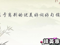 《镜花水月》好段摘抄