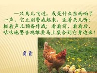 《摸鱼者》读后感精选