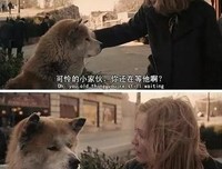 《忠犬八公》：陪伴，永远是最长情的告白