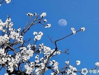 蓝天一色无纤尘