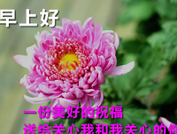 心灵毒药经典的句子