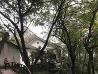 武汉挺过来了，永远不能原谅的和永远不能忘记的