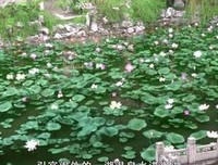 我从《甄嬛传》里看到的人生百态
