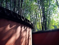 《不天下不是人》的句子