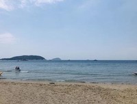 《面纱下的那不勒斯》影评摘抄