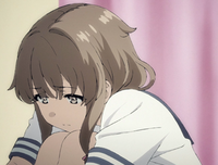 《青春猪头少年不会梦到兔女郎学姐》观后感精选
