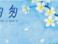 《时间的玫瑰》读后感锦集