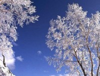 时光荏苒格言警句