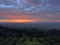 关于谈笑风生名言名句