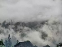 月在树梢