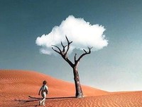 《沉思》的句子