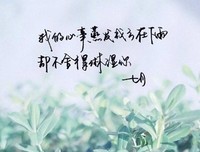 情年是着.优美的句子