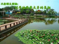 不要预支烦恼