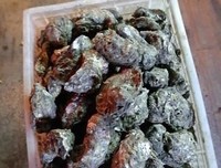 修行的优美句子