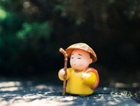 《我们为什么还没有死掉》读后感锦集