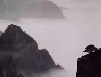 一袋青橄榄