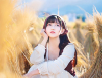 有关真理之言的句子