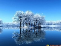 《可惜没有如果》的句子