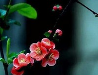  你能不能活得热气腾腾 