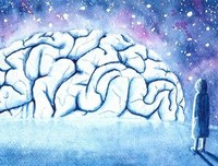 大脑的情绪生活读后感1000字