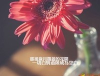 有关修这成的句子