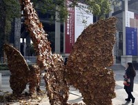 走过落叶的路