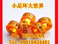 向内金里动句子大全