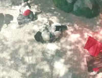 《铃魔传》观后感100字