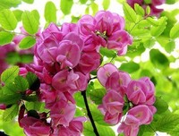 名词佳句的句子