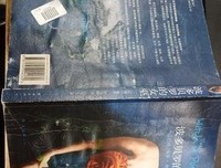 《波多贝罗女巫》读后感锦集