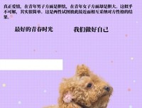 两性关系 | 伴侣间，到底该不该看对方的手机？