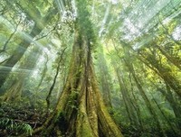 人篇经典名句