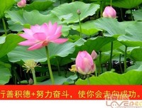 在～你的时空经典名句