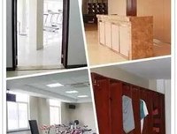 杨路：被理解、被尊敬，是一切友谊的基础。