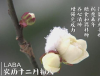 风雪夜归人句子大全