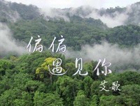 遇见你