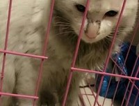 无论如何，我们每个人最后的归宿还是家庭