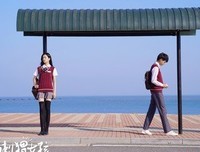 《我的刺猬女孩》经典观后感1000字
