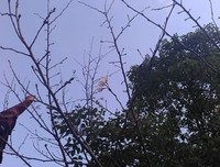 和着我别着些，，，的句子