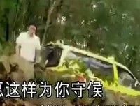 倚窗听雨，听一朵莲开的声音