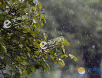 关于雨的句子
