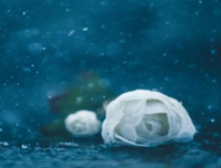 《绝望，伤心》的句子