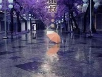 关于恻隐之心的唯美语录