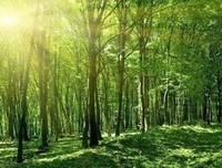 左顾右盼的语句摘抄_关于左顾右盼的语句