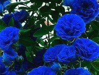 感情中，一个真正懂你的人，不会这样对待你