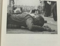《乖，摸摸头》经典句子