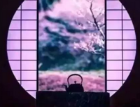 聆听花开句子大全