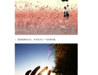 惟愿心语